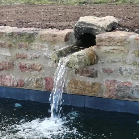 Panzió Pivoines 3*