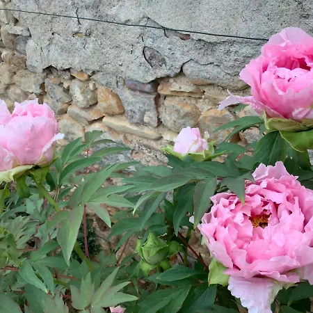 Pivoines Bed & Breakfast Saint-Julien (Rhone)